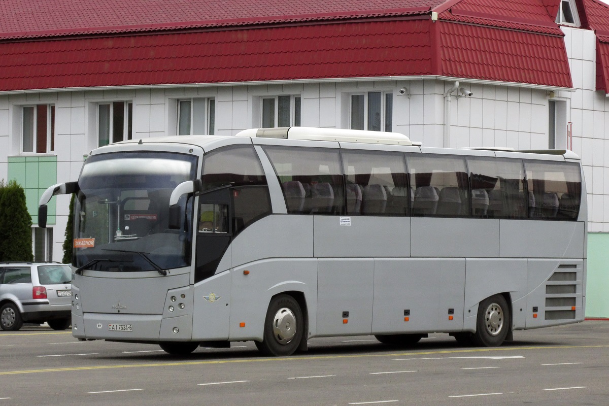 Могилёвская область, МАЗ-251.062 № 2206