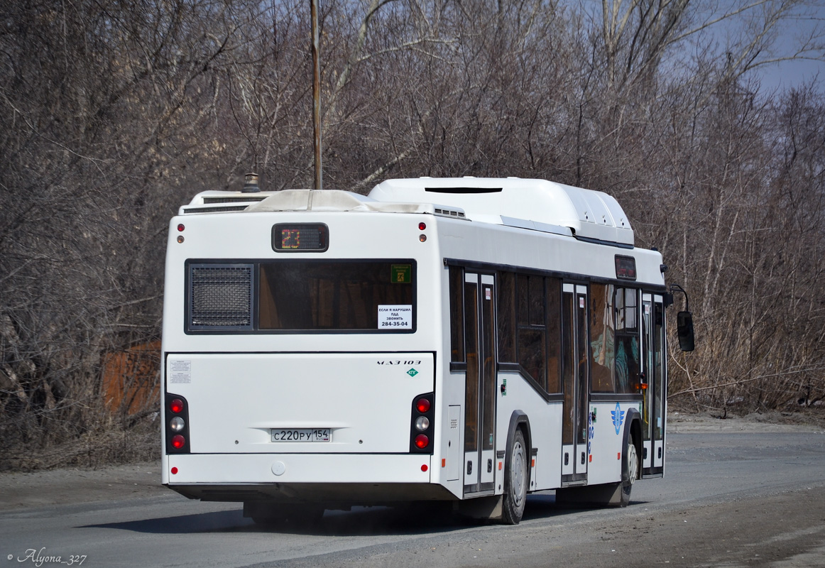 Новосибирская область, МАЗ-103.965 № 11011