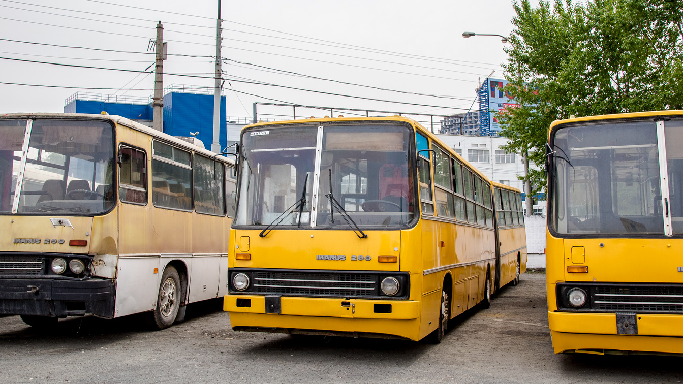 Свердловская область, Ikarus 280.80 № Ikarus 280