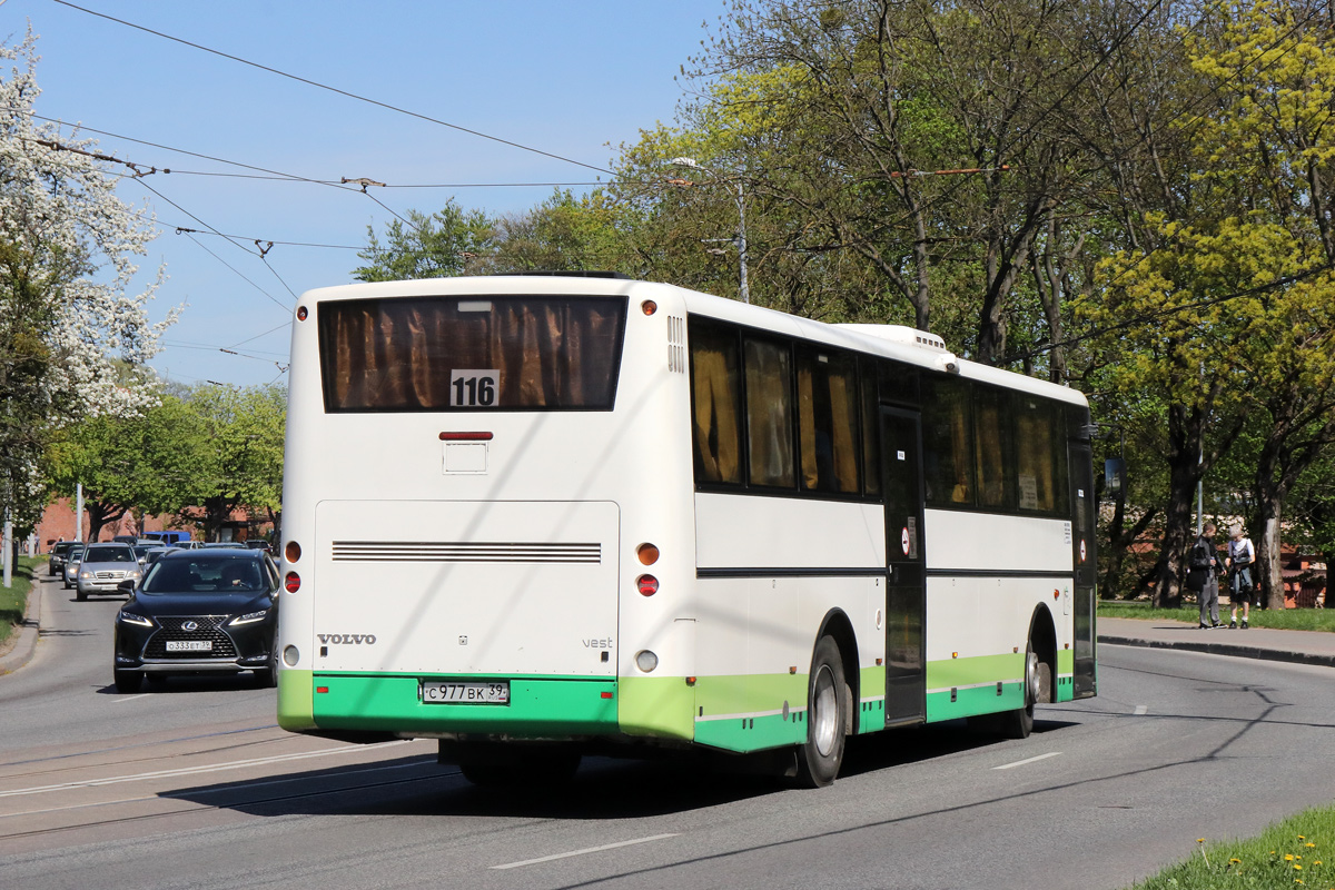 Калининградская область, Vest Contrast № С 977 ВК 39