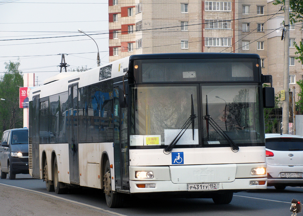 Нижегородская область, MAN A26 NL313-15 № Р 431 ТУ 152