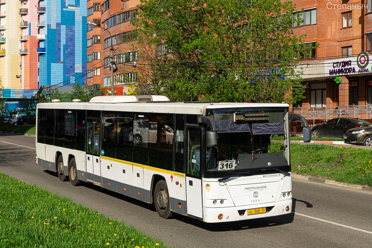 Московская область, ГолАЗ-622810-11 № 5681