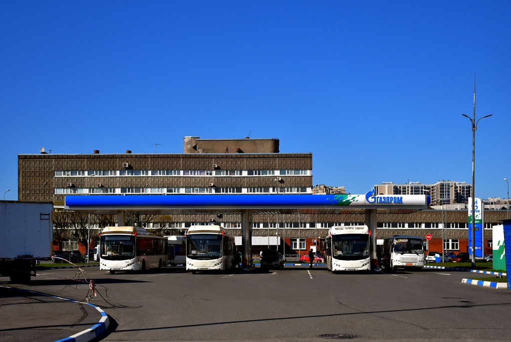Санкт-Петербург, ПАЗ-320302-11 № 9746; Санкт-Петербург — Разные фотографии