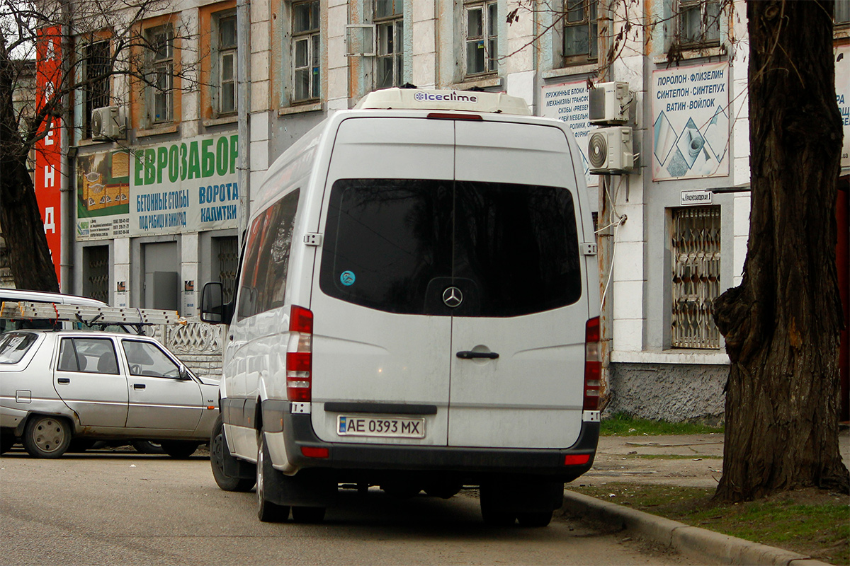Днепропетровская область, Mercedes-Benz Sprinter W906 516CDI № AE 0393 MX