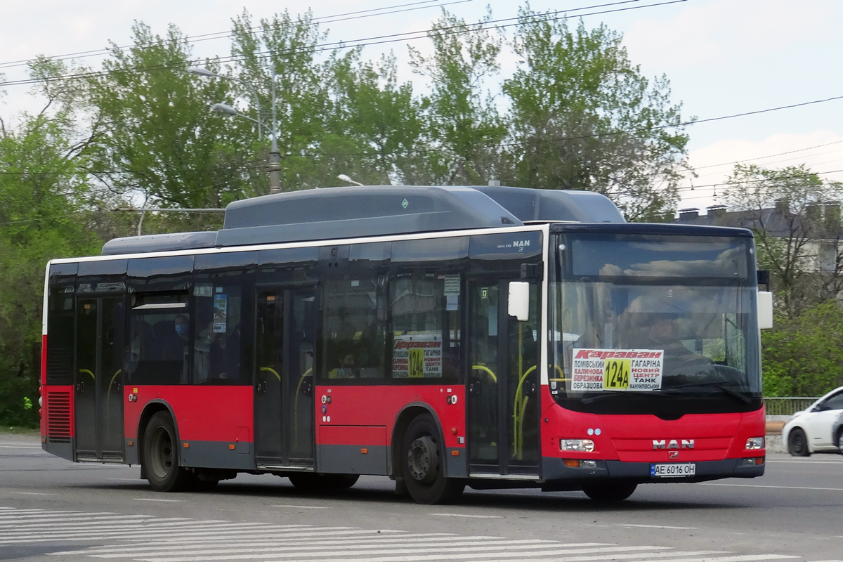 Днепропетровская область, MAN A21 Lion's City NL273 LPG № AE 6016 OH