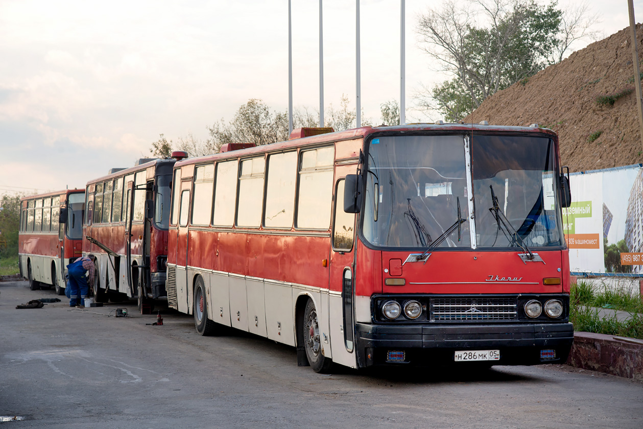 Дагестан, Ikarus 250.59 № Н 287 МК 05; Дагестан, Ikarus 250 № Н 286 МК 05