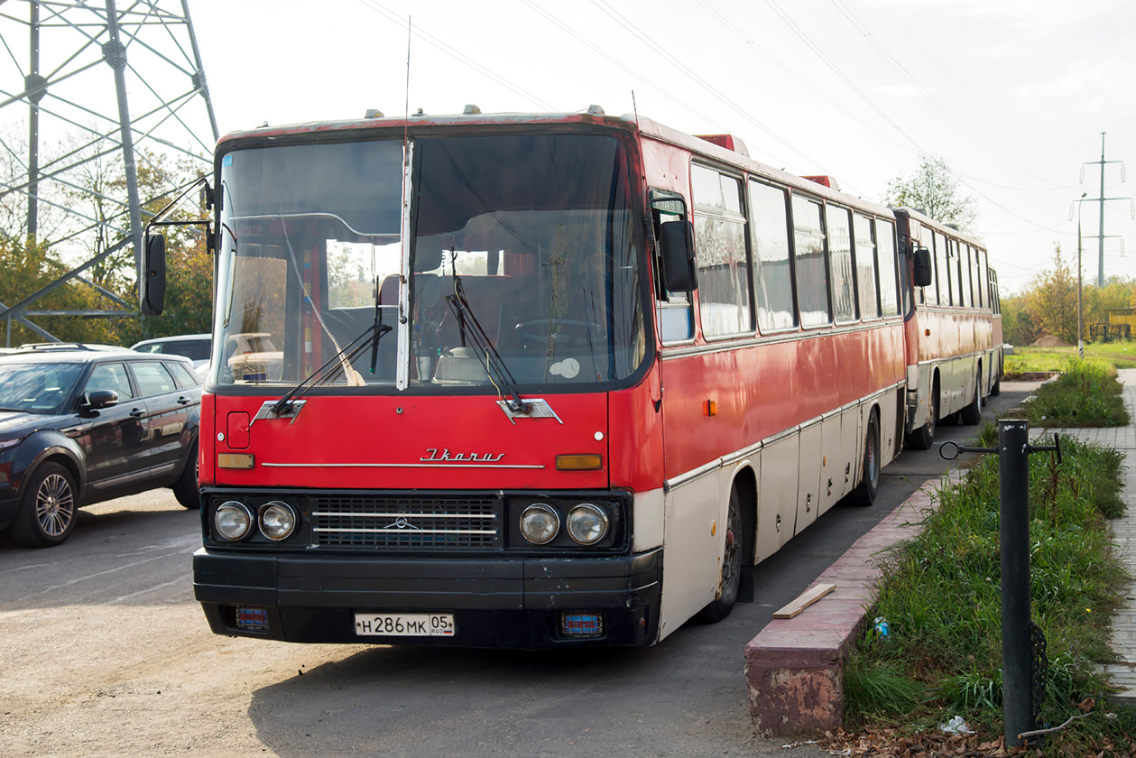 Дагестан, Ikarus 250 № Н 286 МК 05; Дагестан, Ikarus 250.59 № Н 287 МК 05