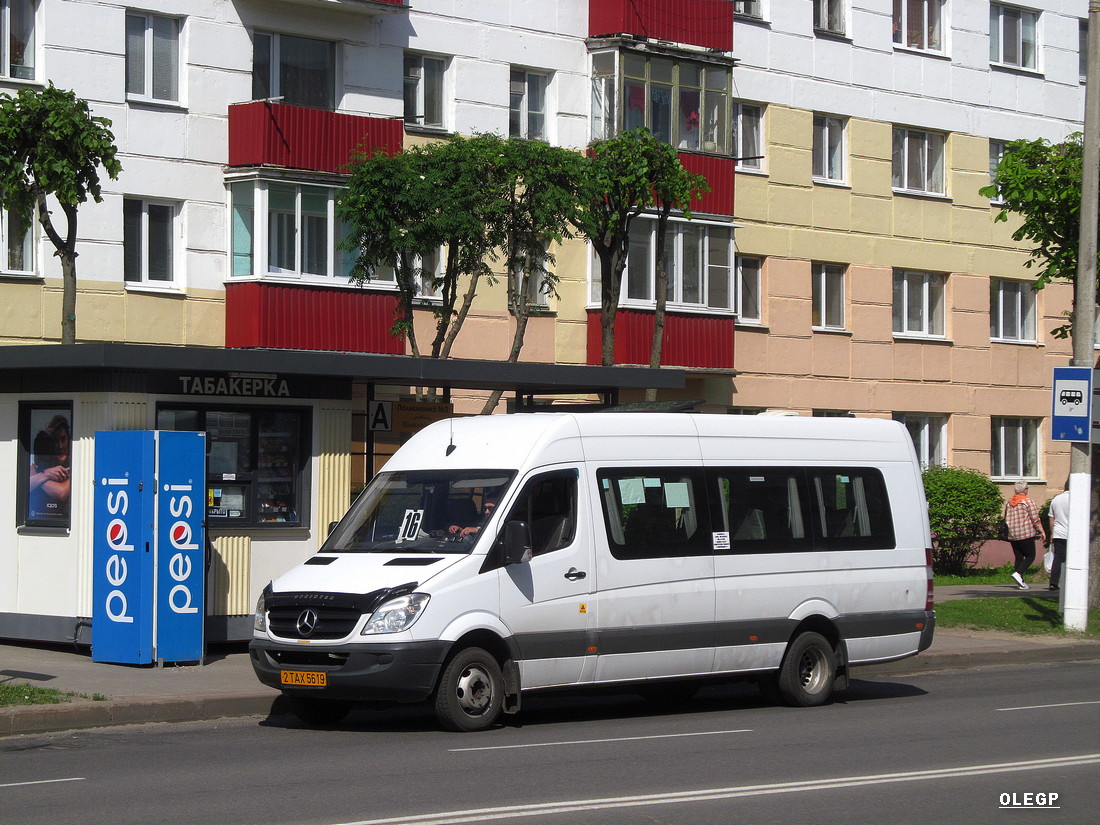 Витебская область, Луидор-2236* № 2 ТАХ 5619