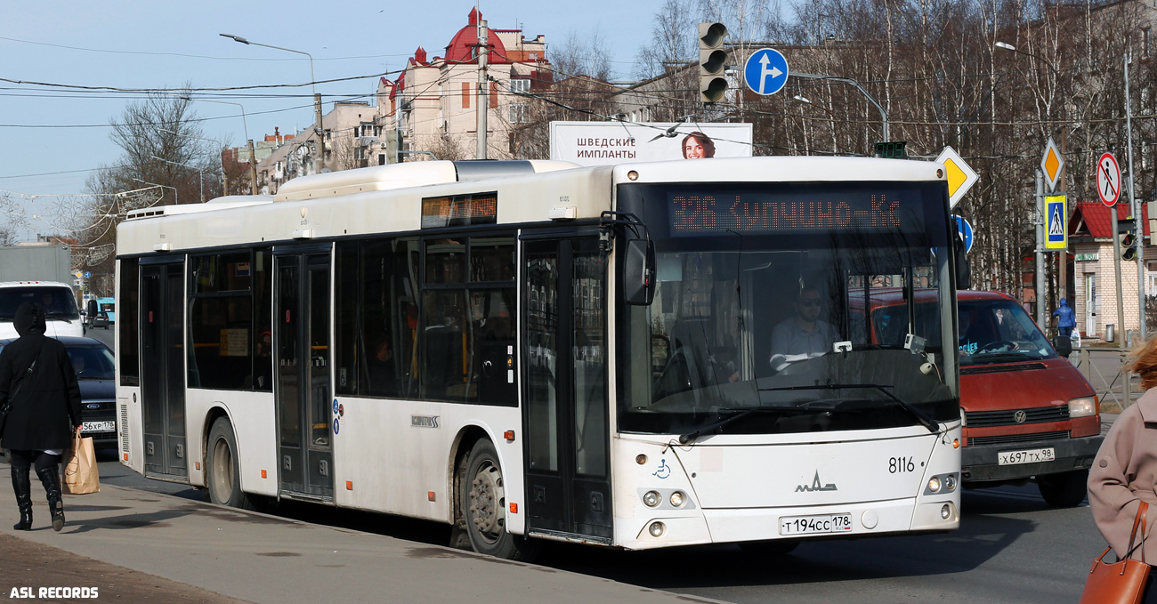 Санкт-Петербург, МАЗ-203.085 № 8116