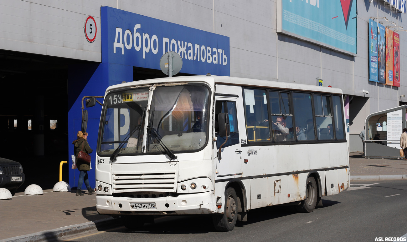 Санкт-Петербург, ПАЗ-320402-05 № 8828