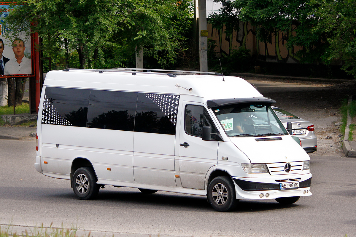 Днепропетровская область, Mercedes-Benz Sprinter W903 310D № AE 0787 OK