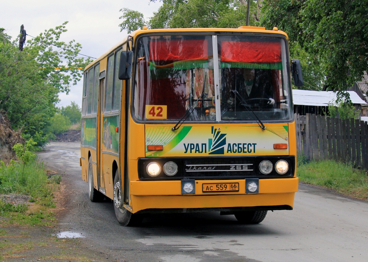 Sverdlovsk region, Ikarus 260.43 # 779