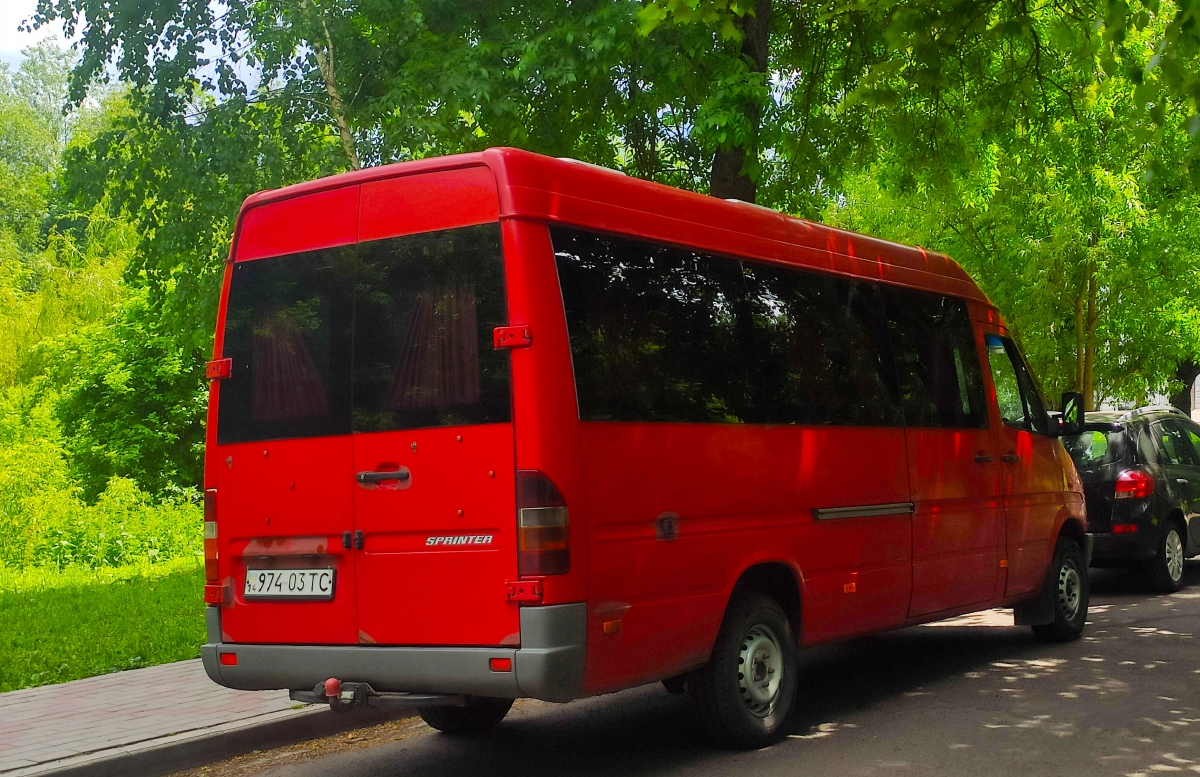 Львовская область, Mercedes-Benz Sprinter W903 310D № 974-03 ТС