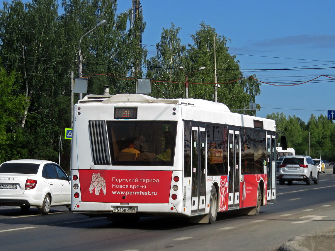 Пермский край, МАЗ-203.016 № Н 616 ЕН 159