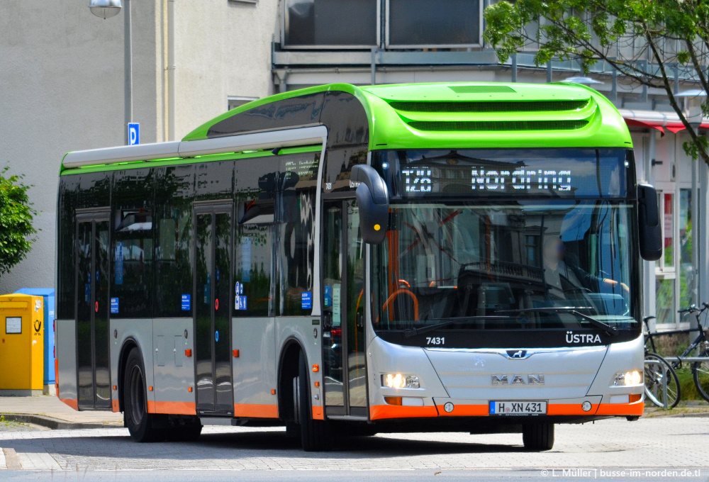 Lower Saxony, MAN A37 Lion's City Hybrid NL253 # 7431