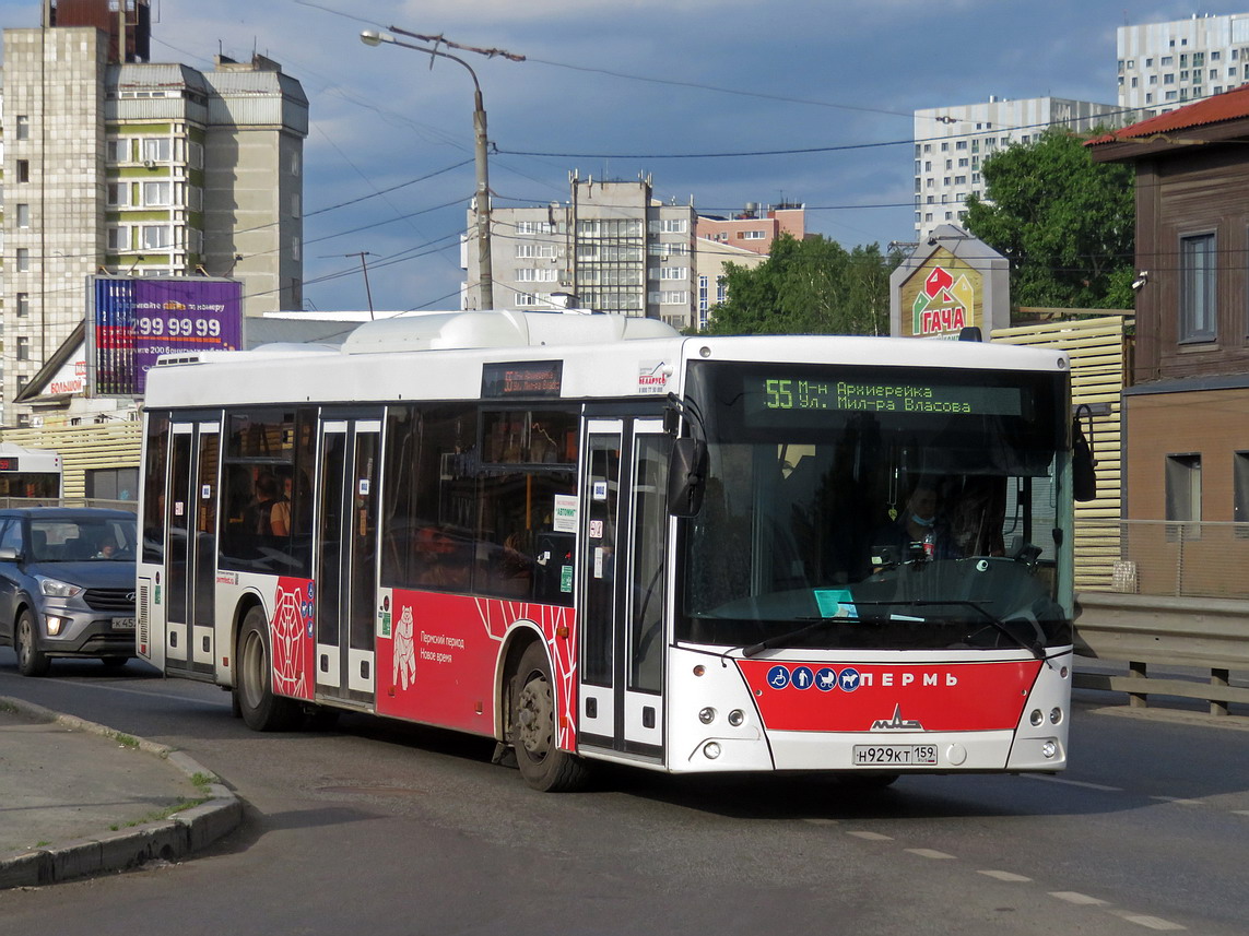Пермский край, МАЗ-203.016 № Н 929 КТ 159