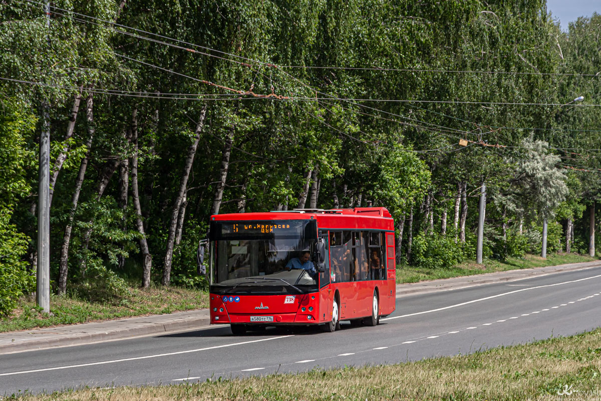 Татарстан, МАЗ-203.069 № 738