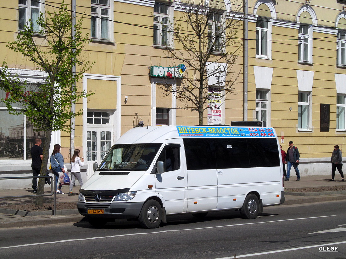 Витебская область, Классикбус-90917 (MB Sprinter) № 2 ТАХ 5827