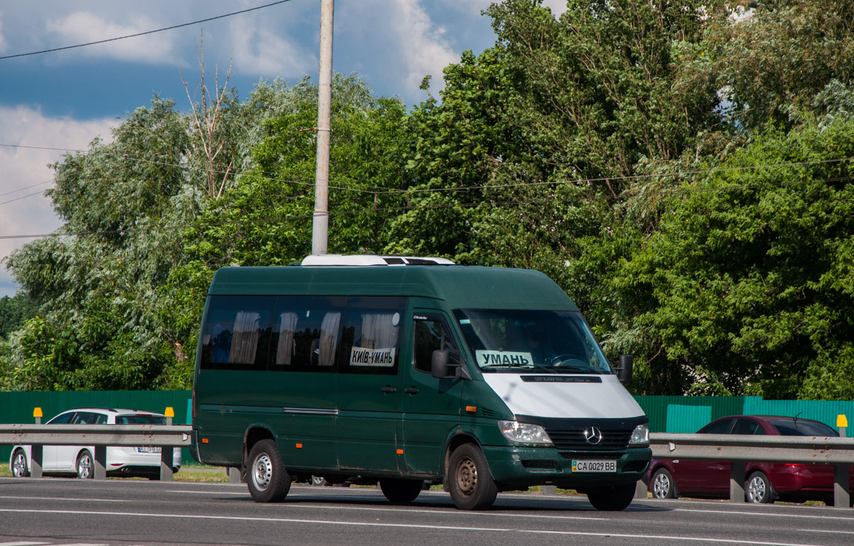 Черкасская область, Mercedes-Benz Sprinter W903 313CDI № CA 0029 BB