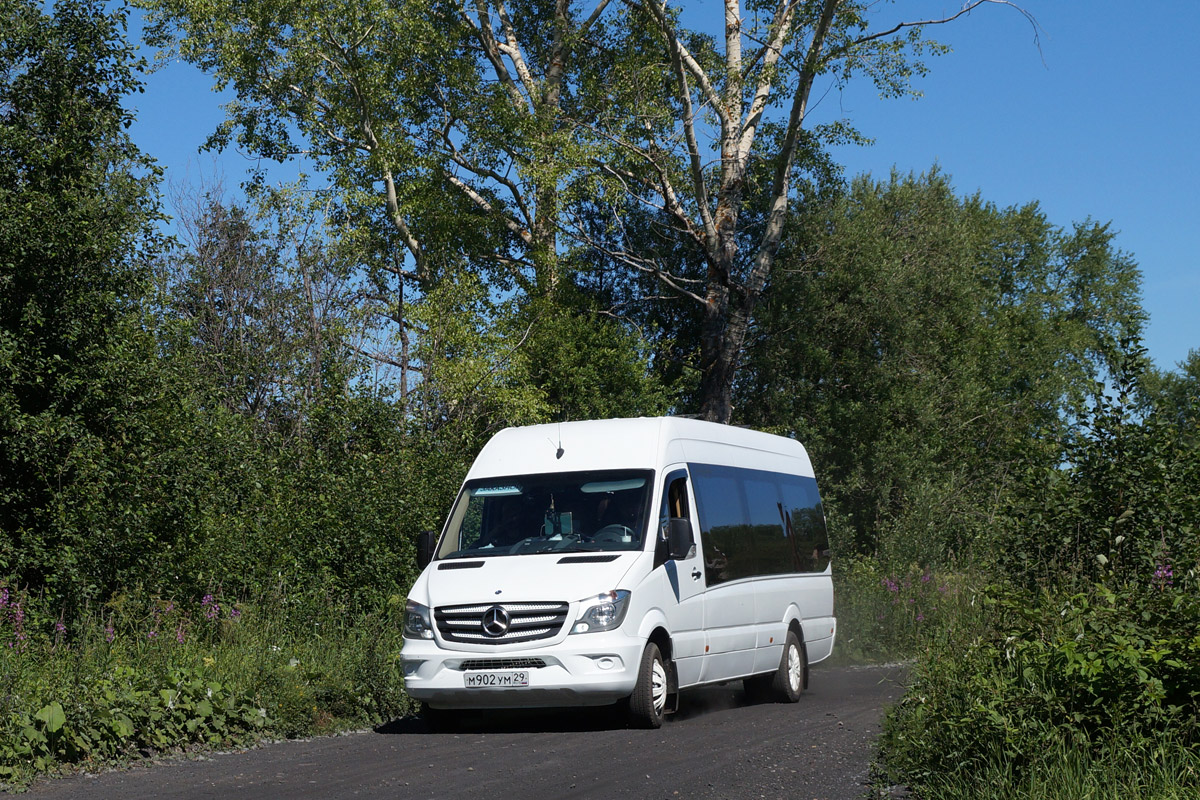 Архангельская область, Луидор-22360C (MB Sprinter) № М 902 УМ 29