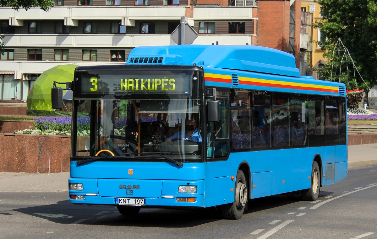 Литва, MAN A20 NÜ313 CNG № KNT 197