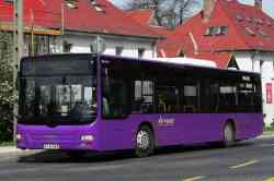 498 КБ