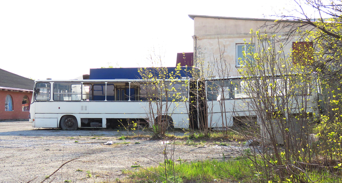 Краснодарский край, Ikarus 280.33M № 334; Краснодарский край — Разные фотографии