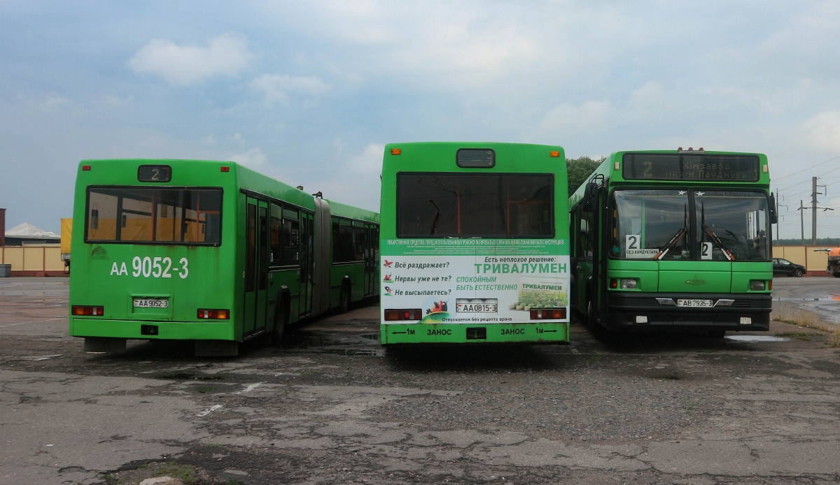 Гомельская область, МАЗ-105.065 № 25348; Гомельская область, МАЗ-105.060 № 25054; Гомельская область, МАЗ-105.065 № 25577