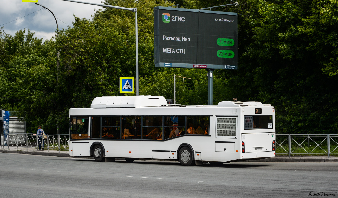 Новосибирская область, МАЗ-103.965 № 11011