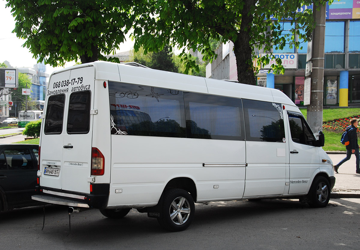 Житомирская область, Mercedes-Benz Sprinter W903 313CDI № AM 6487 BT