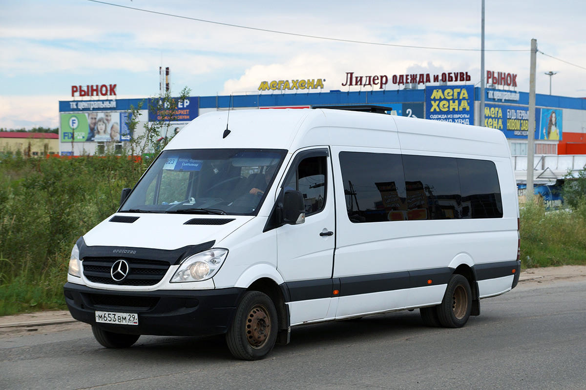 Архангельская область, Луидор-22360C (MB Sprinter) № М 653 ВМ 29