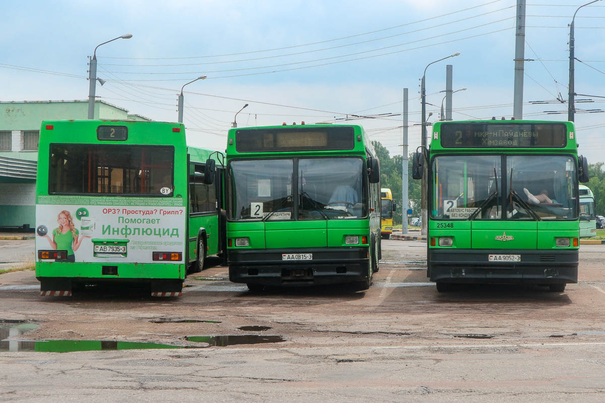 Гомельская область, МАЗ-105.065 № 25577; Гомельская область, МАЗ-105.060 № 25054; Гомельская область, МАЗ-105.065 № 25348