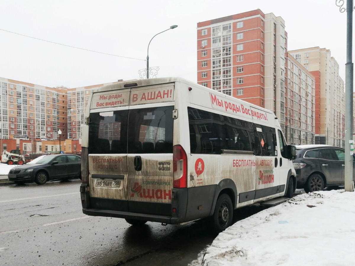 Московская область, IRITO Boxer L4H2 (Z8P) № Х 614 АТ 750