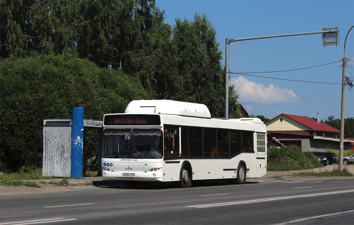 Новосибирская область, МАЗ-103.965 № 11011