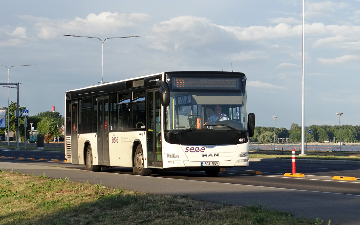 Эстония, MAN A78 Lion's City LE EL293 № 431