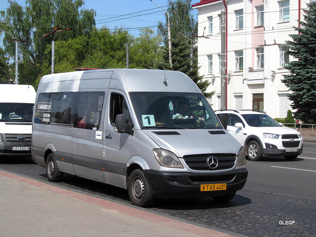 Могилёвская область, Alterra-35151 (MB Sprinter) № 6 ТАХ 4437
