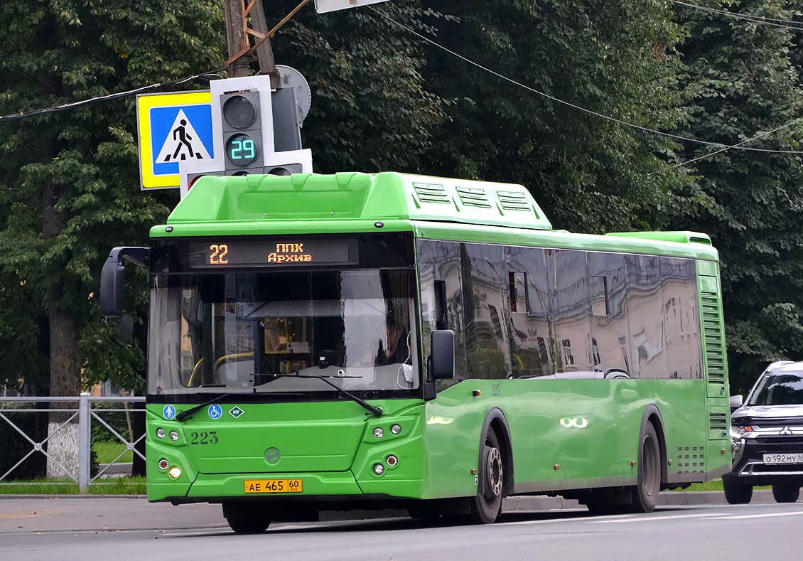 Псковская область, ЛиАЗ-5292.67 (CNG) № 223