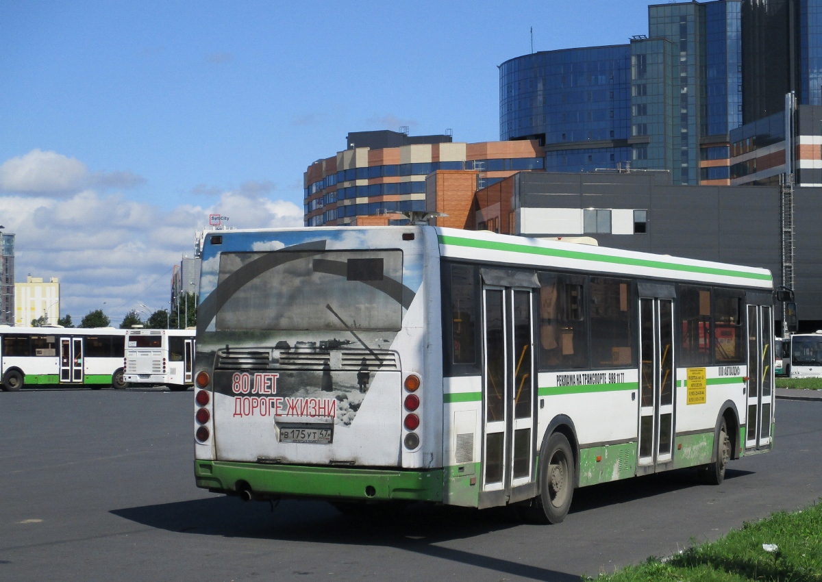 Ленинградская область, ЛиАЗ-5256.54 № В 175 УТ 47