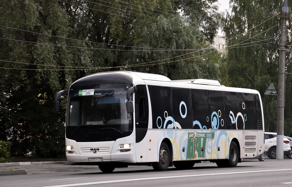 Владимирская область, MAN R12 Lion's Regio ÜL314 № М 250 РН 33