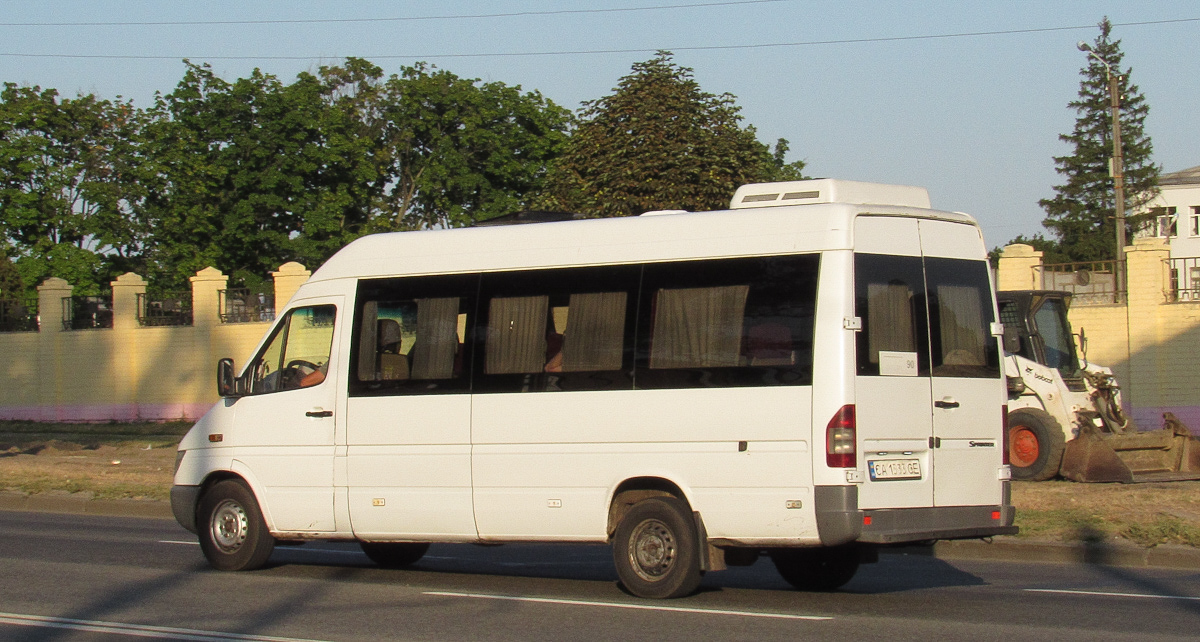 Черкасская область, Mercedes-Benz Sprinter W903 313CDI № CA 1533 CE