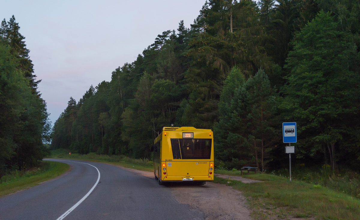 Минск, МАЗ-203.115 № 044891