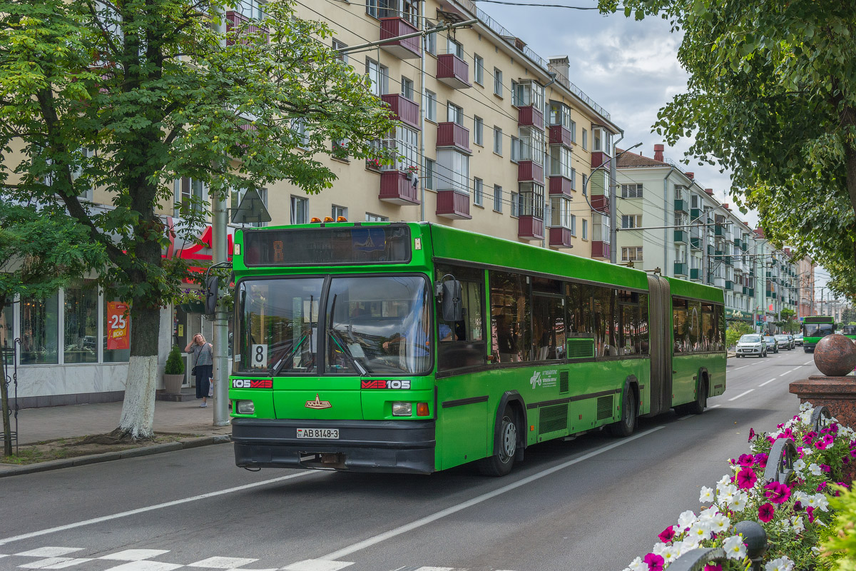 Гомельская область, МАЗ-105.065 № 11967
