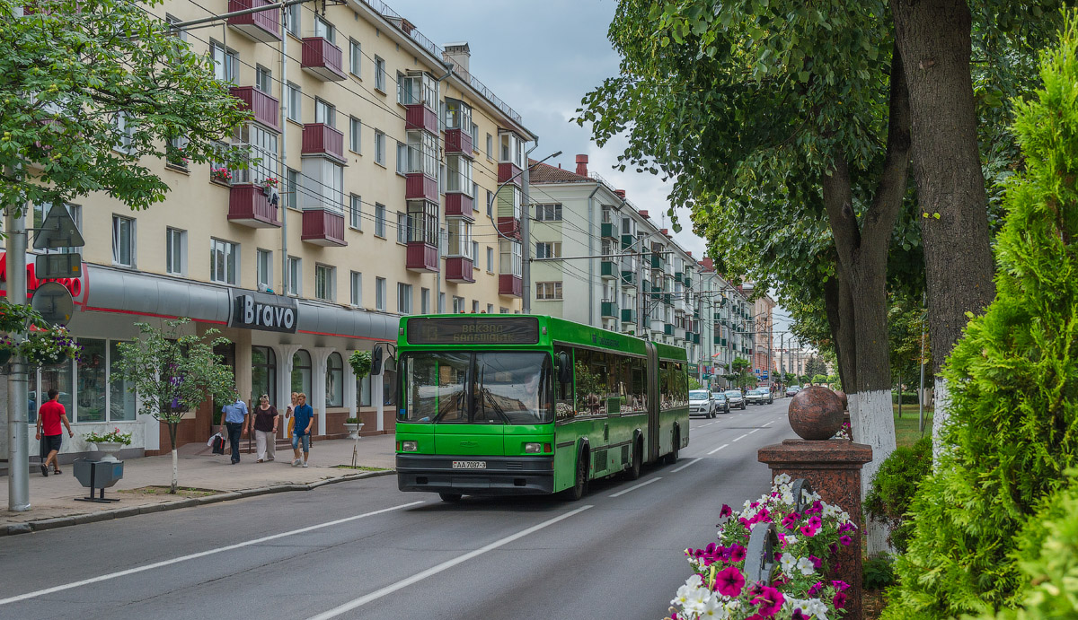 Гомельская область, МАЗ-105.065 № 036102
