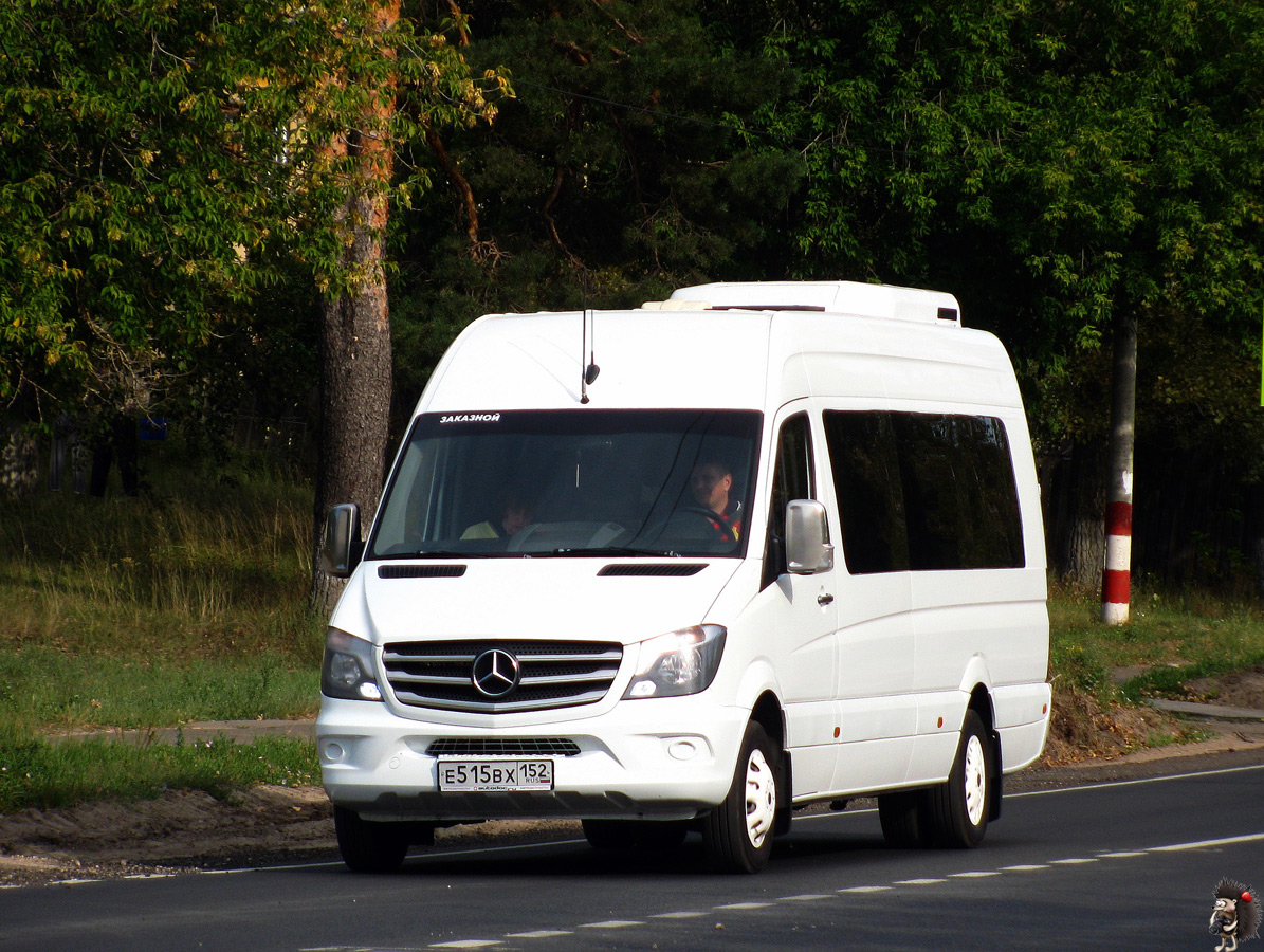 Нижегородская область, Луидор-223602 (MB Sprinter) № Е 515 ВХ 152