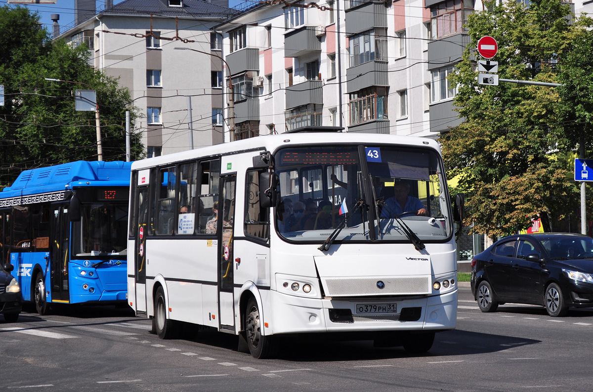 Белгородская область, ПАЗ-320412-04 "Вектор" № О 379 РН 31