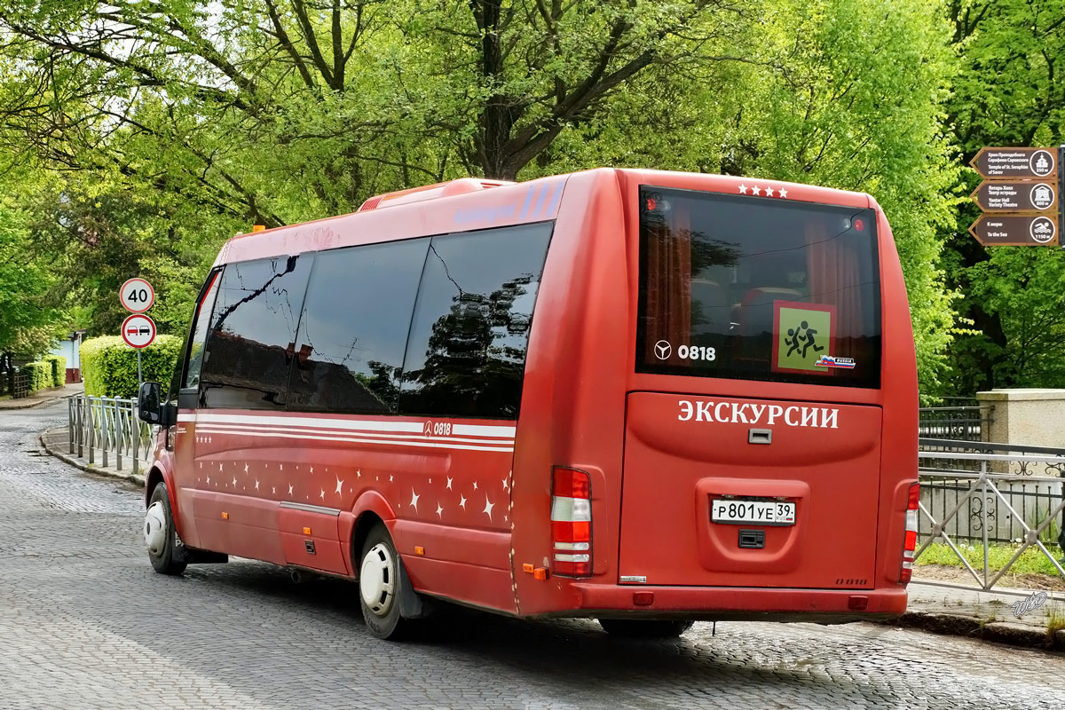 Калининградская область, Schleithoff The King № Р 801 УЕ 39