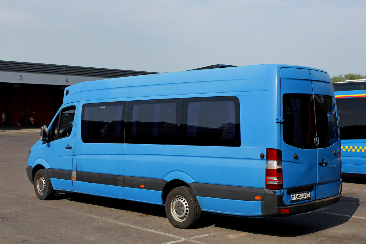 Lithuania, Mercedes-Benz Sprinter W906 313CDI # 02