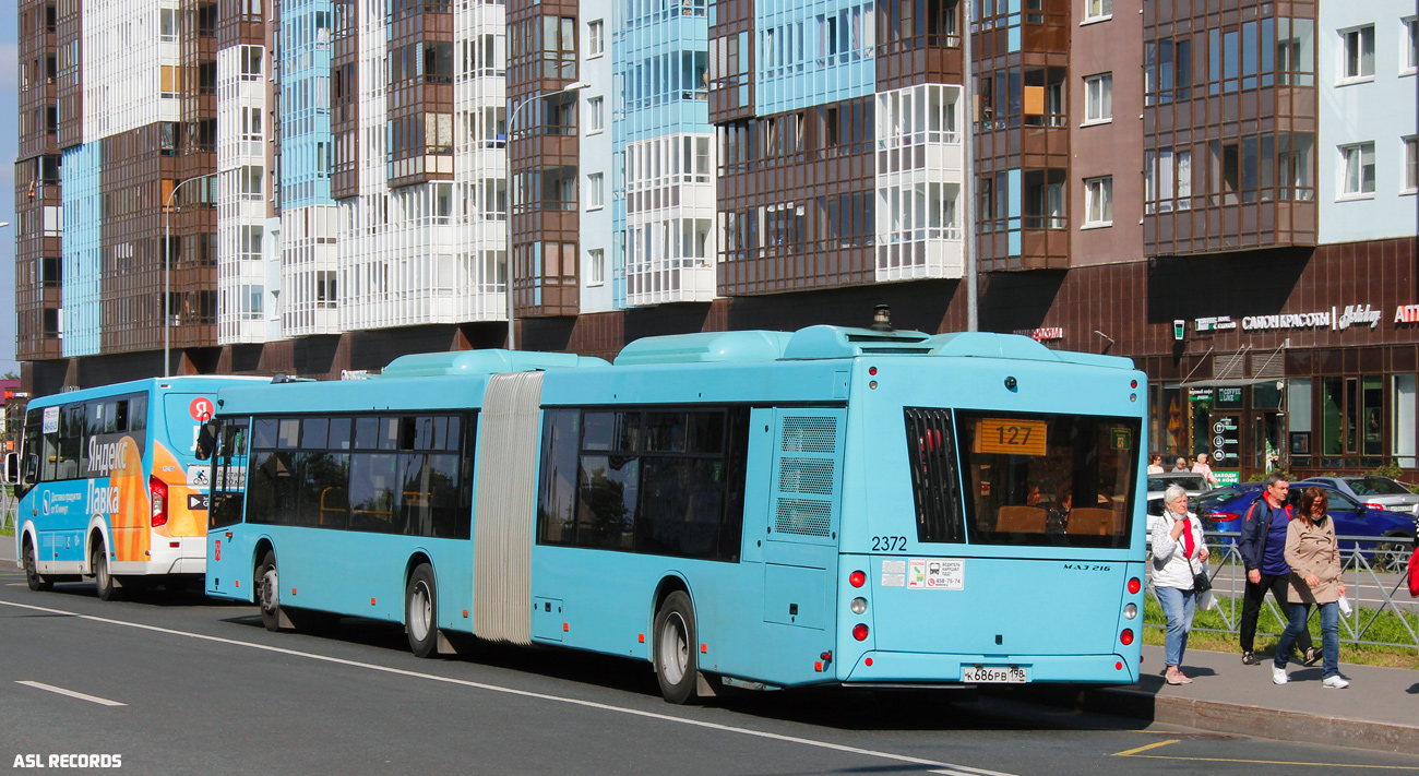Sankt Petersburg, MAZ-216.066 Nr. 2372