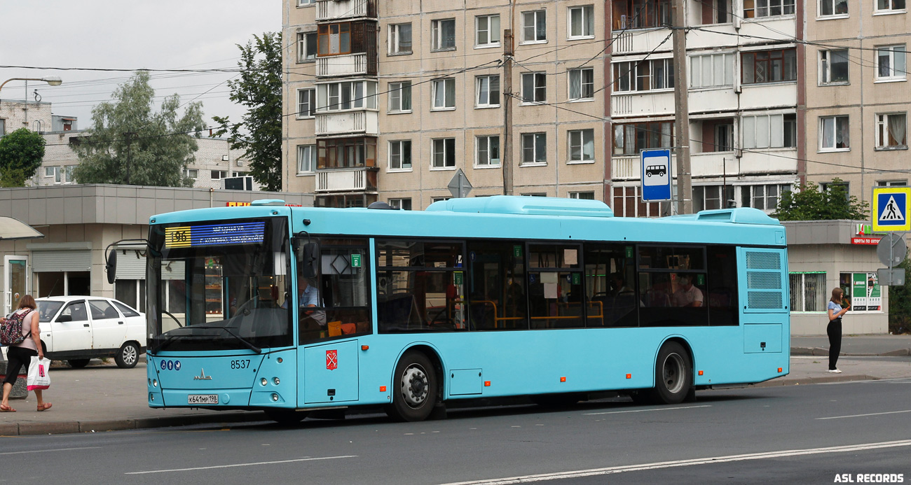 Санкт-Петербург, МАЗ-203.016 № 8537