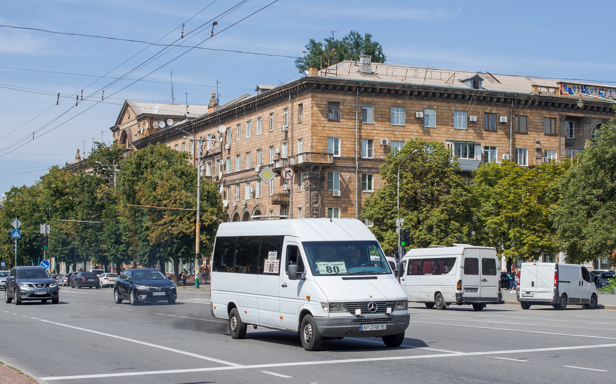 Запорожская область, Mercedes-Benz Sprinter W903 310D № AP 2748 IE